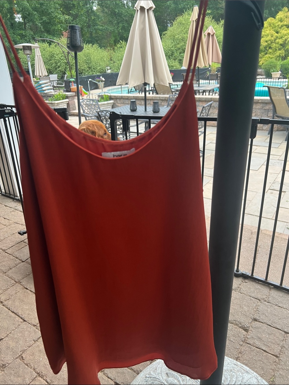 Bar III Burnt Orange Satin Camisole